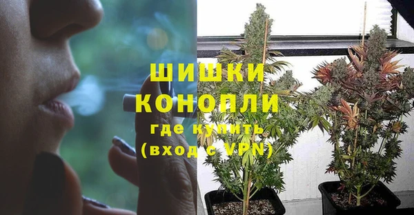 гидра Тихорецк