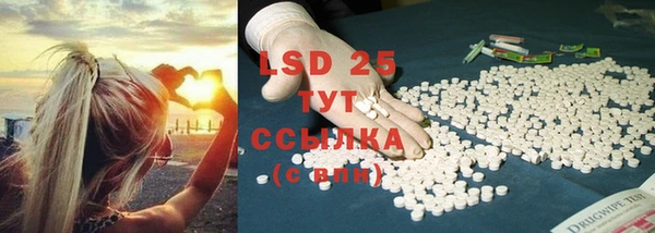 PSILOCYBIN Тобольск