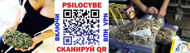 Купить  Аксай  Галлюциногенные грибы прущие грибы 